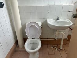 Blk 257 Pasir Ris Street 21 (Pasir Ris), HDB 5 Rooms #635599331